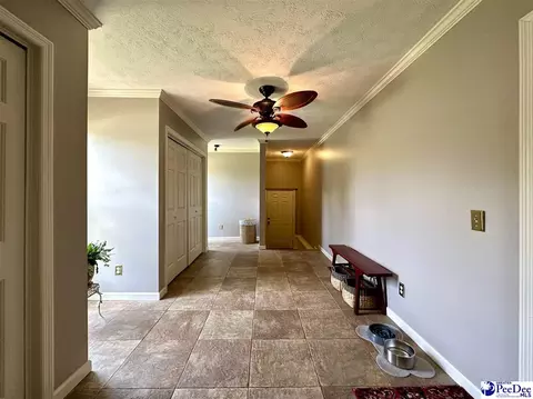 1217 Hillside Dr, Dillon, SC 29536 photo 41
