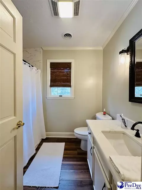 1217 Hillside Dr, Dillon, SC 29536 photo 60