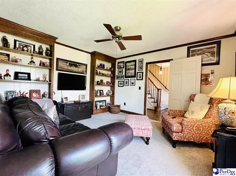 1217 Hillside Dr, Dillon, SC 29536 photo 30