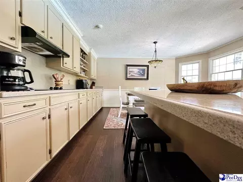 1217 Hillside Dr, Dillon, SC 29536 photo 47