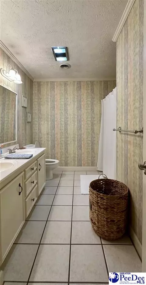1217 Hillside Dr, Dillon, SC 29536 photo 63