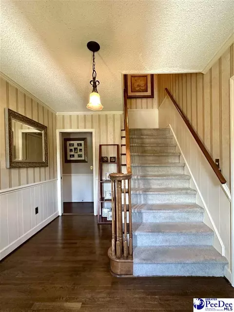 1217 Hillside Dr, Dillon, SC 29536 photo 26