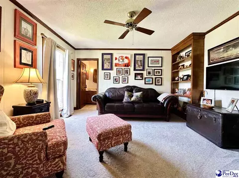 1217 Hillside Dr, Dillon, SC 29536 photo 29