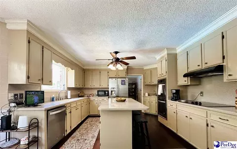 1217 Hillside Dr, Dillon, SC 29536 photo 49