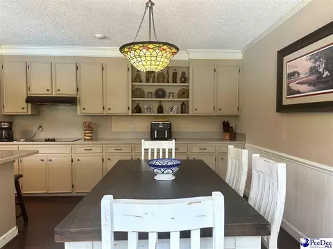 1217 Hillside Dr, Dillon, SC 29536 photo 54