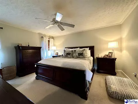 1217 Hillside Dr, Dillon, SC 29536 photo 58