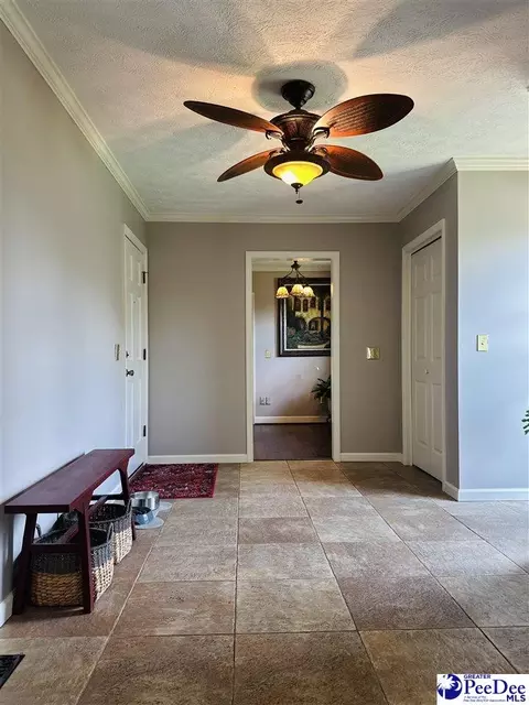 1217 Hillside Dr, Dillon, SC 29536 photo 45