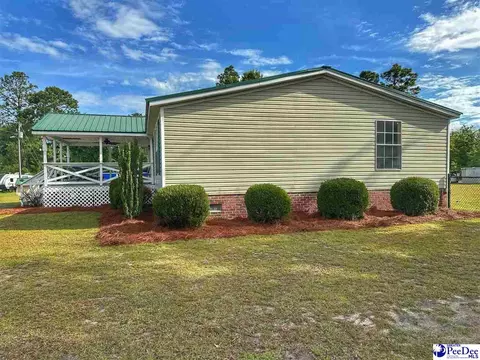 2101 Doe Trail Ln, Dillon, SC 29536 photo 5
