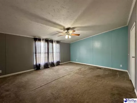 2101 Doe Trail Ln, Dillon, SC 29536 photo 40