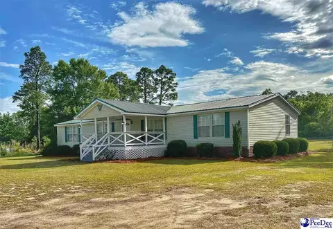 2101 Doe Trail Ln, Dillon, SC 29536 photo 3