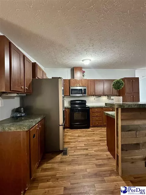 2101 Doe Trail Ln, Dillon, SC 29536 photo 32