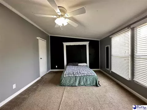 2101 Doe Trail Ln, Dillon, SC 29536 photo 53