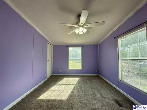 2101 Doe Trail Ln, Dillon, SC 29536 photo 49