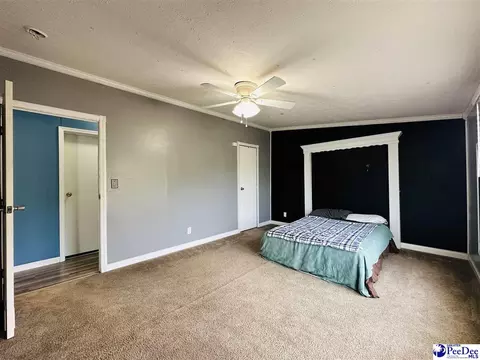 2101 Doe Trail Ln, Dillon, SC 29536 photo 54