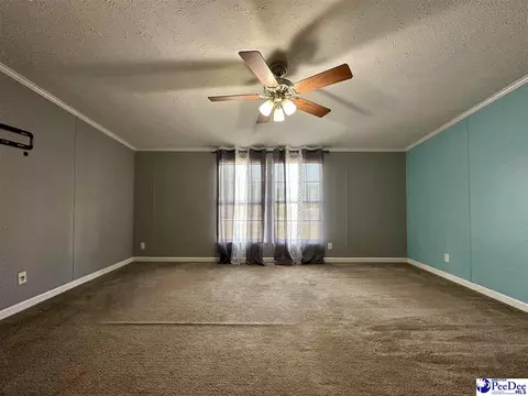 2101 Doe Trail Ln, Dillon, SC 29536 photo 42