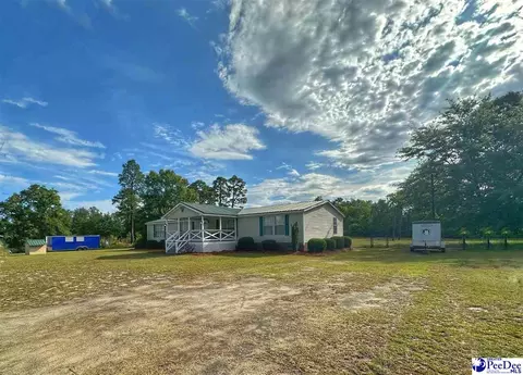 2101 Doe Trail Ln, Dillon, SC 29536 photo 4