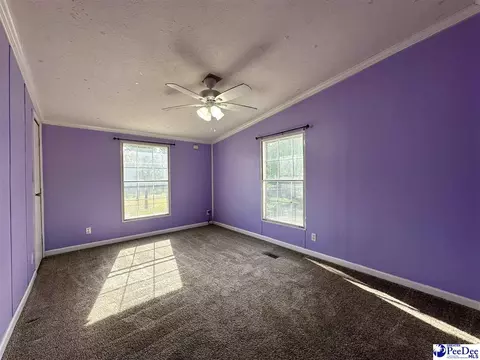 2101 Doe Trail Ln, Dillon, SC 29536 photo 48