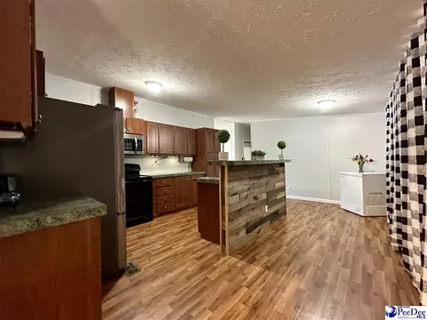 2101 Doe Trail Ln, Dillon, SC 29536 photo 38