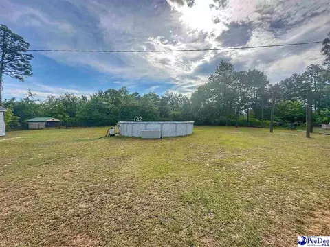 2101 Doe Trail Ln, Dillon, SC 29536 photo 15