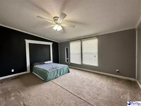 2101 Doe Trail Ln, Dillon, SC 29536 photo 52