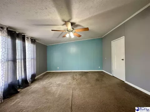 2101 Doe Trail Ln, Dillon, SC 29536 photo 41