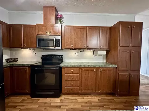 2101 Doe Trail Ln, Dillon, SC 29536 photo 33