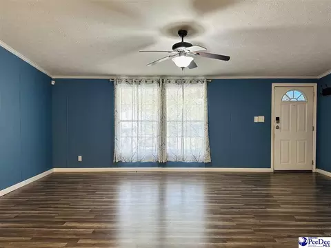 2101 Doe Trail Ln, Dillon, SC 29536 photo 20