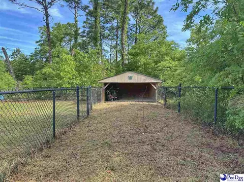 2101 Doe Trail Ln, Dillon, SC 29536 photo 19