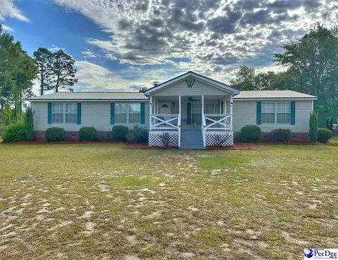 2101 Doe Trail Ln, Dillon, SC 29536 photo 1