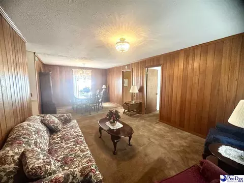 206 Pecan Dr, Cheraw, SC 29520 photo 8