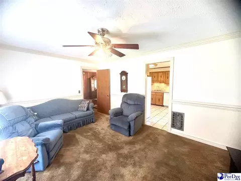 206 Pecan Dr, Cheraw, SC 29520 photo 10