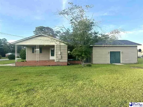 206 Pecan Dr, Cheraw, SC 29520 photo 3
