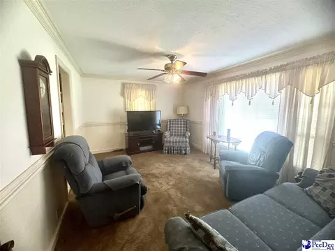 206 Pecan Dr, Cheraw, SC 29520 photo 9