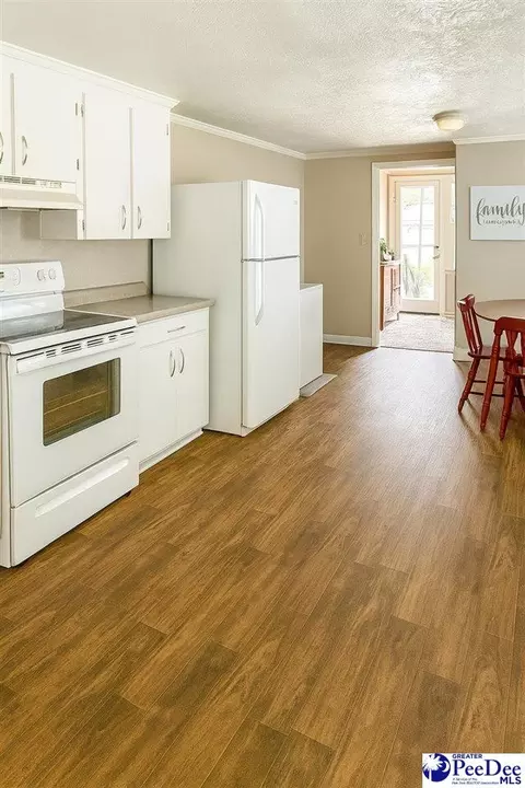 2526 Lester Rd, Dillon, SC 29536 photo 7