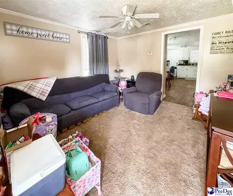 2526 Lester Rd, Dillon, SC 29536 photo 4