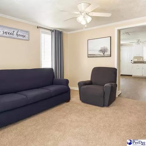 2526 Lester Rd, Dillon, SC 29536 photo 3