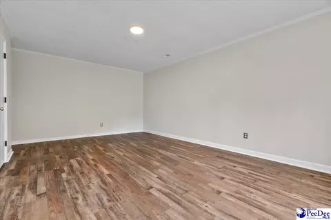 3020 Allen Rd, Effingham, SC 29541 photo 30