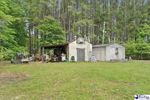 3020 Allen Rd, Effingham, SC 29541 photo 43