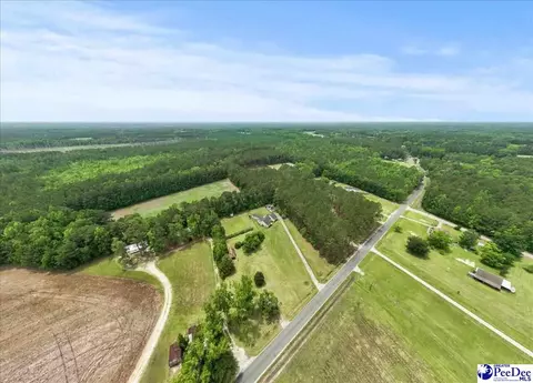 3020 Allen Rd, Effingham, SC 29541 photo 44