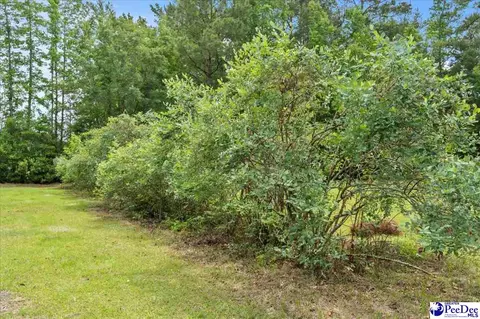 3020 Allen Rd, Effingham, SC 29541 photo 40