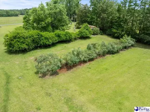 3020 Allen Rd, Effingham, SC 29541 photo 42