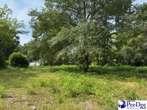 1008 E Dargan St, Dillon, SC 29536 photo 1