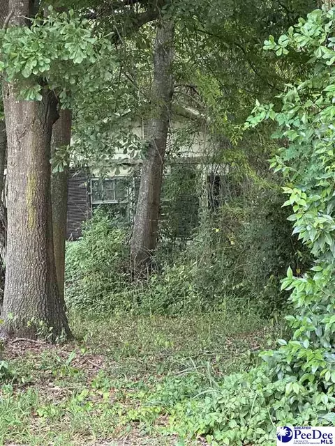 912 W Dixie, Florence, SC 29501 photo 1