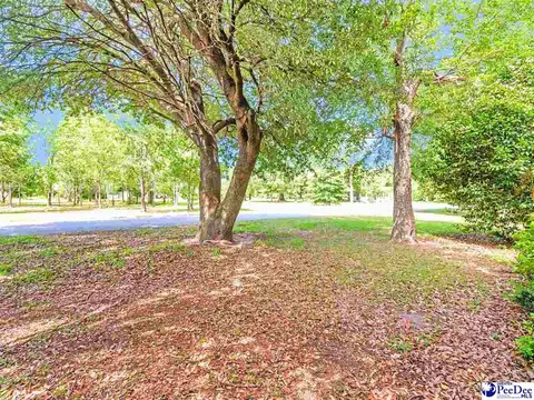 2017 Philadelphia St, Darlington, SC 29532 photo 6