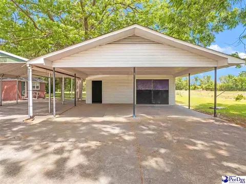 2017 Philadelphia St, Darlington, SC 29532 photo 22