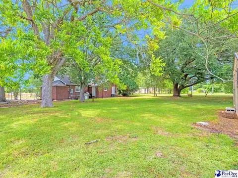 2017 Philadelphia St, Darlington, SC 29532 photo 7