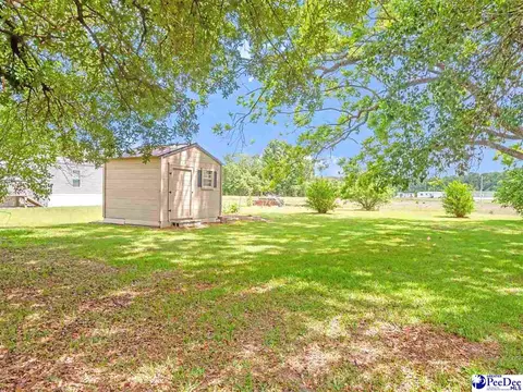2017 Philadelphia St, Darlington, SC 29532 photo 25