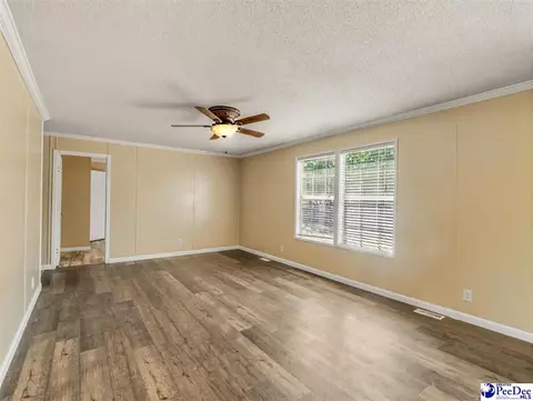488 Bailey Sawmill Rd, Ruby, SC 29741 photo 19