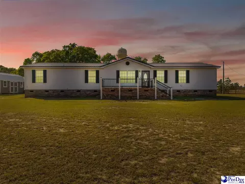 488 Bailey Sawmill Rd, Ruby, SC 29741 photo 7