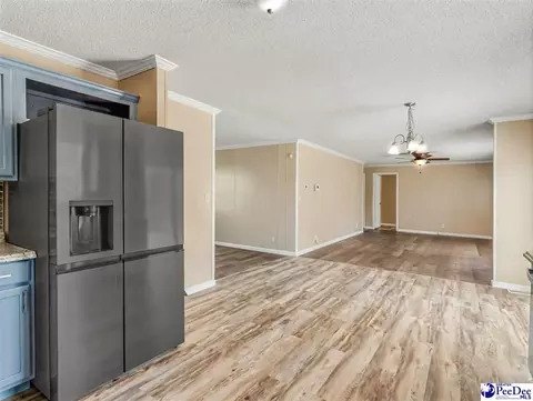 488 Bailey Sawmill Rd, Ruby, SC 29741 photo 17